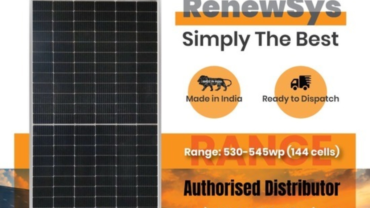 RenewSys solar panels