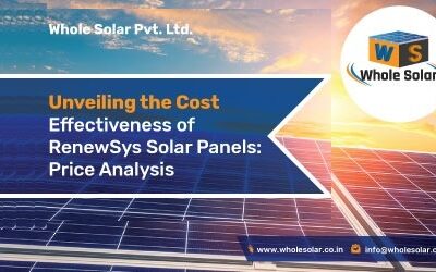 Unveiling the Cost-Effectiveness of RenewSys Solar Panels: Price Analysis