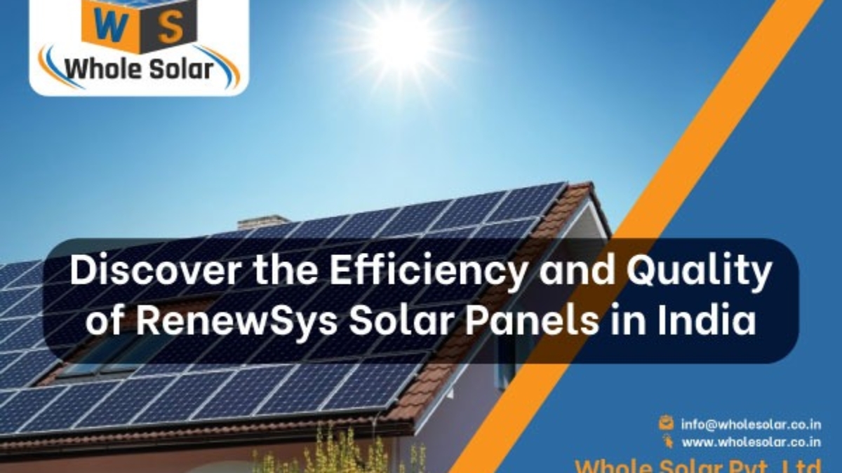 RenewSys Solar Panel