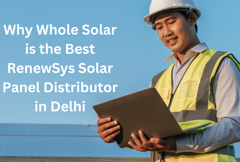 Why Whole Solar is the Best RenewSys Solar Panel Distributor in Delhi