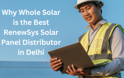 Why Whole Solar is the Best RenewSys Solar Panel Distributor in Delhi