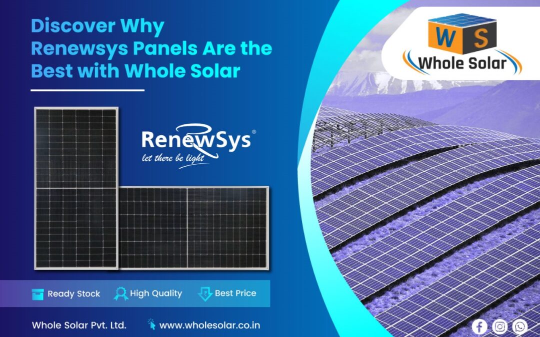 Discover Why Renewsys Panels Are the Best with Whole Solar