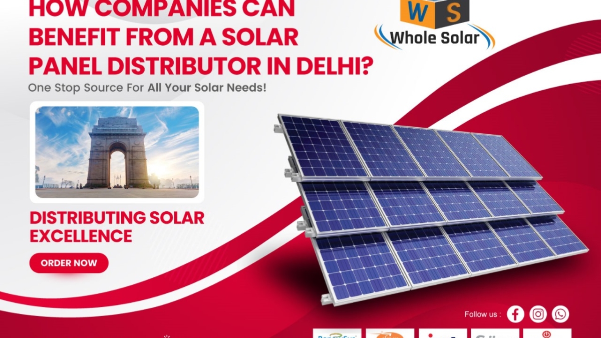 Whole solar is authorize renwesys solar panel distributor in delhi