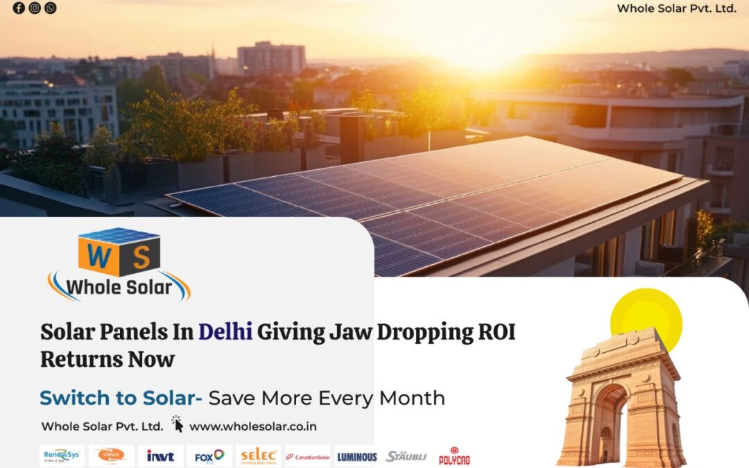 Solar Panels in Delhi Giving Jaw-Dropping ROI Returns Now