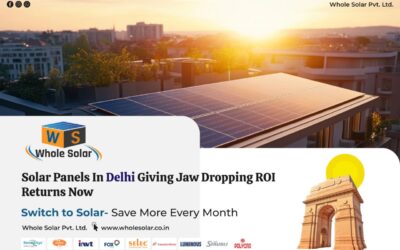 Solar Panels in Delhi Giving Jaw-Dropping ROI Returns Now