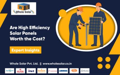 Are High Efficiency Solar Panels Worth the Cost? Expert Insights