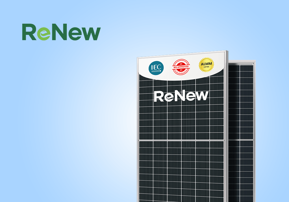 RENEW (2) (1)