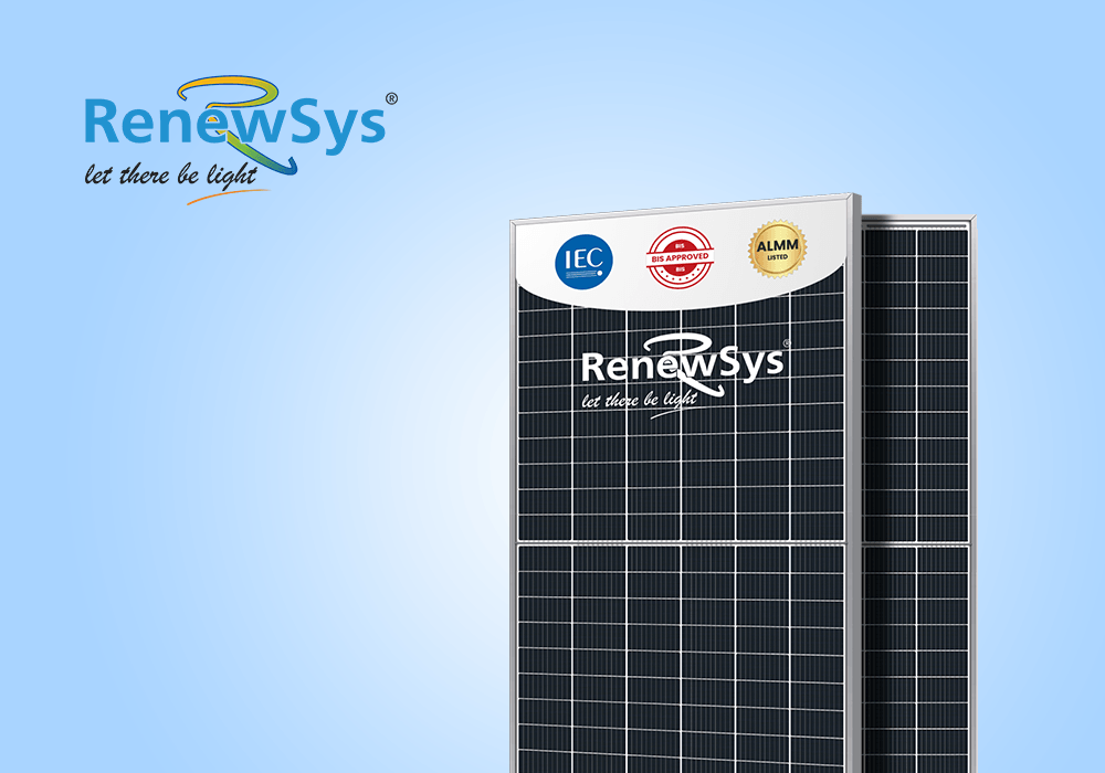RENEWSYS (4) (1)